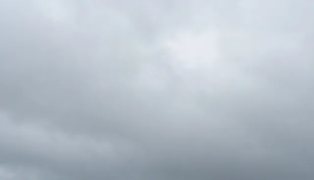 货运代理中的项目管理问题与解决方案